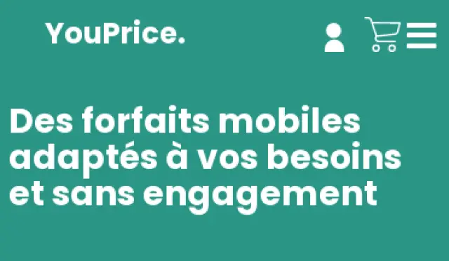 Aperçu Youprice - FR