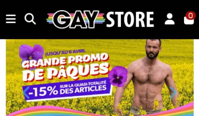 Aperçu GayStore