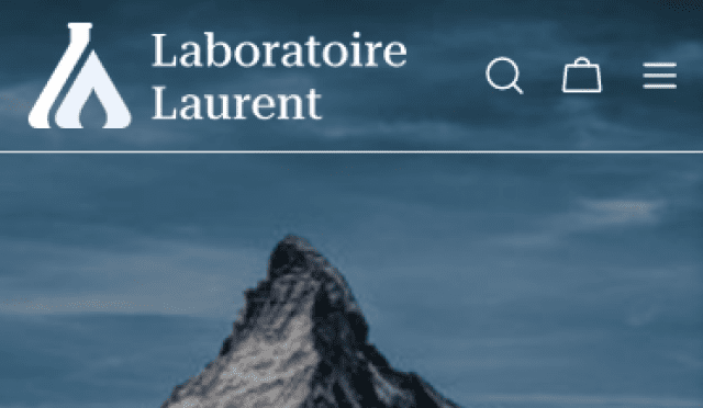 Aperçu LaboratoirelLaurent - FR