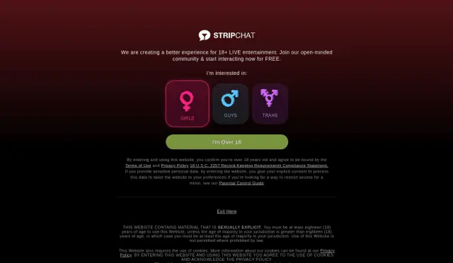 Aperçu Stripchat