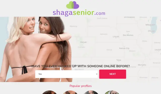 Aperçu shagasenior.com
