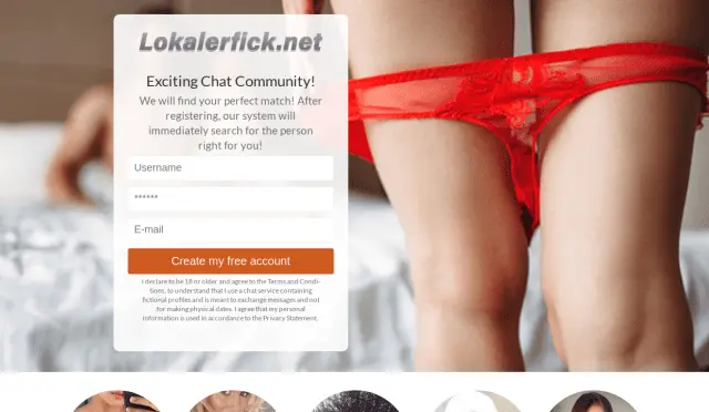Aperçu Lokalerfick.net