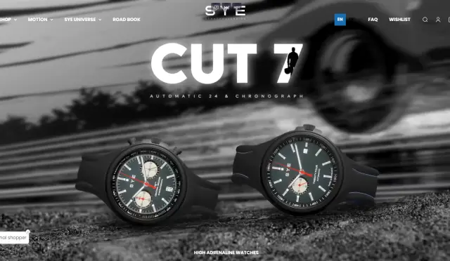 Aperçu SYE - Start Your Engine - FR