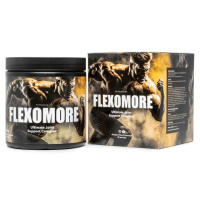 Logo Flexomore