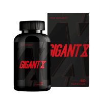 Logo GigantX