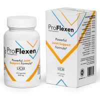 Logo ProFlexen