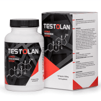 Logo Testolan