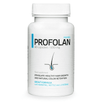 Logo Profolan