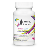 Logo Silvets