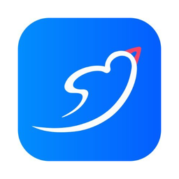 Logo Light PDF